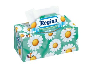CHUSTECZKI REGINA A96 RUMIANEK KARTON 7900